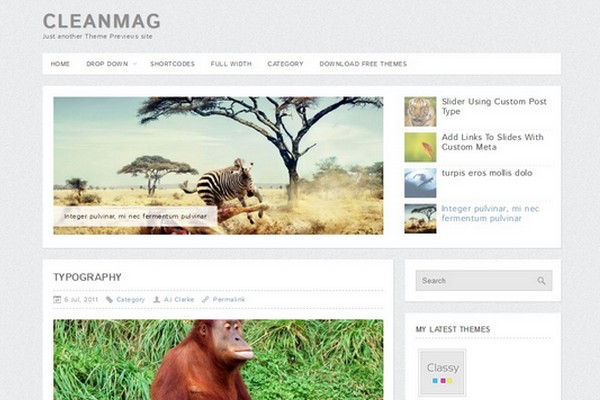 CleanMag Free WordPress Theme