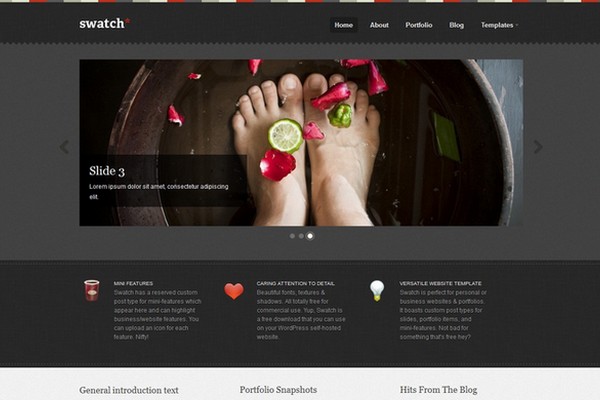 Swatch Free WordPress Theme