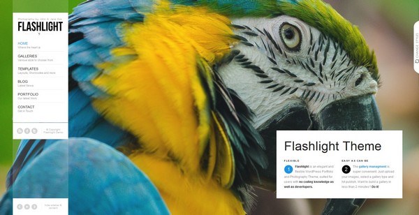 Flashlight - A fullscreen background portfolio theme