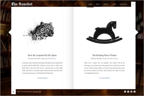 The Novelist Responsive WordPress Theme