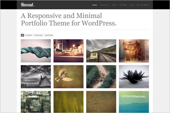 Reveal Responsive Portfolio WordPress Theme