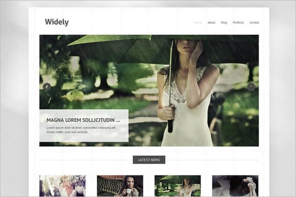 Widely - A Free WordPress Theme by Themes Kingdom