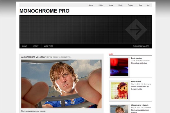 Monochrome Pro is a free WordPress Theme