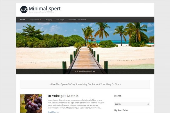 Minimal Xpert is a free WordPress Theme by WPEplorer.com