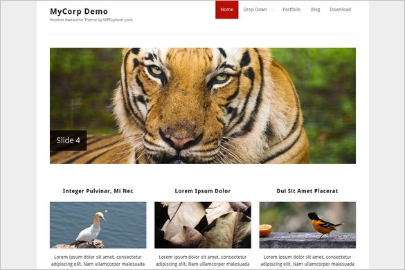 MyCorp is a free WordPress Theme