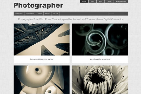 Photographer is a free WordPress Theme by Dessign.net