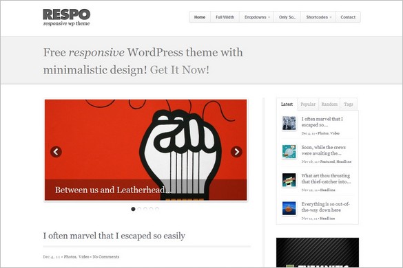 Respo - A Free Responsive WordPress Theme