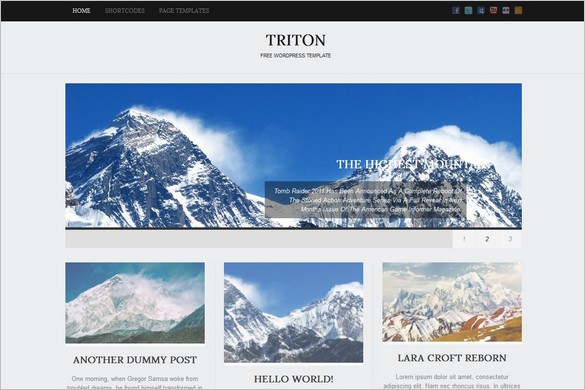 Triton Lite is a free WordPress Theme