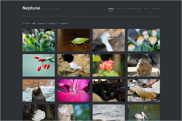 Neptune is a free WordPress Theme by WPExplorer.com