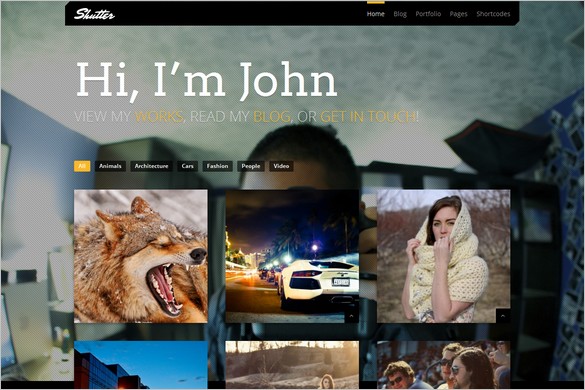 Shutter is a Portfolio WordPress Theme