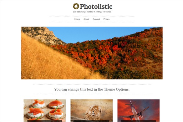 Photolistic – Free WordPress Theme for Photographers