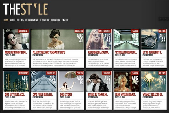 TheStyle is a WordPress Theme by Elegant Themes