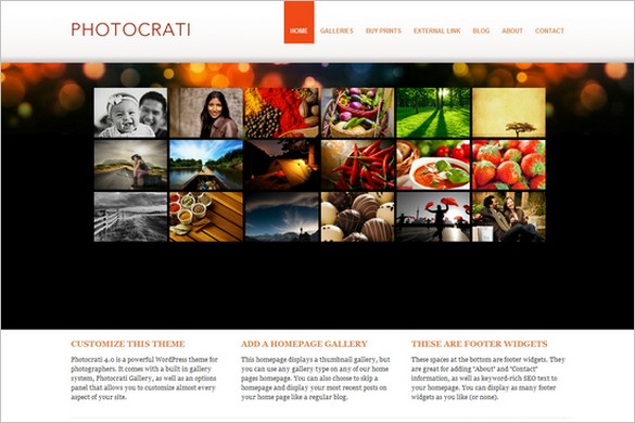Photocrati is a WordPress theme for photographers