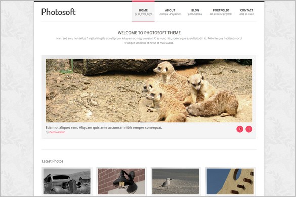 Photosoft is a Photography WordPress Theme