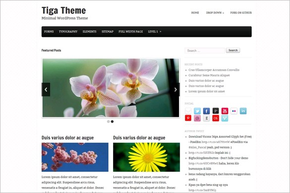 Tiga is a free WordPress Theme