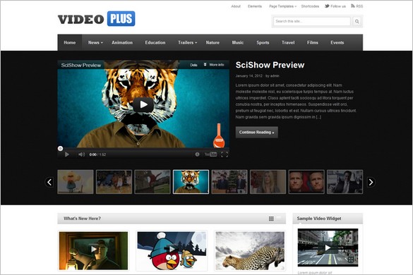 VideoPlus is a Multimedia WordPress Theme