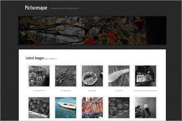 Picturesque is a free Photography WordPress Theme Justin Tadlock