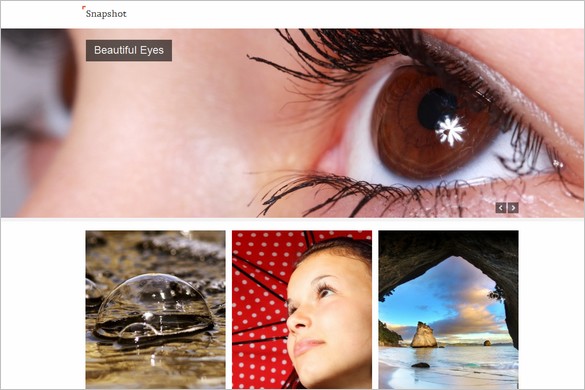 Snapshot is a free Photography WordPress Theme by SiteOrigin