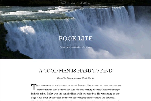Book Lite is a free WordPress Theme