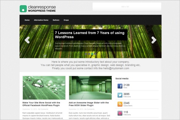 Clean Response is a free WordPress Theme by themefurnace