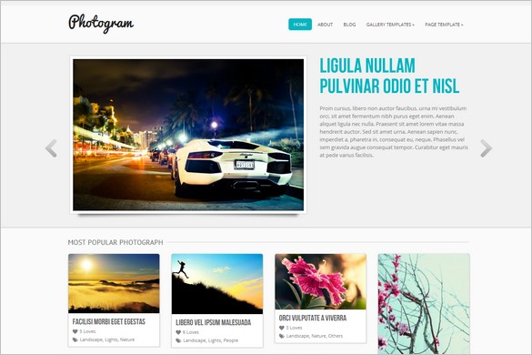 Photogram is a free WordPress Theme by ColorLabs