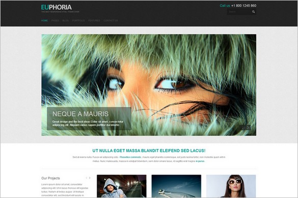 Euphoria is a WordPress Theme by DX Themes