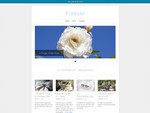 Forever is a free WordPress Theme