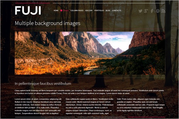 Fuji is a Full Screen Retina Ready WordPress Theme