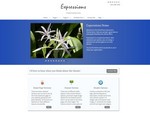 WordPress Themes Releases- Expressions