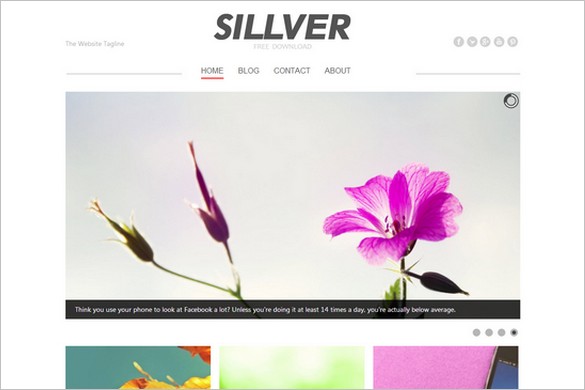 Sillver is a free WordPress Theme