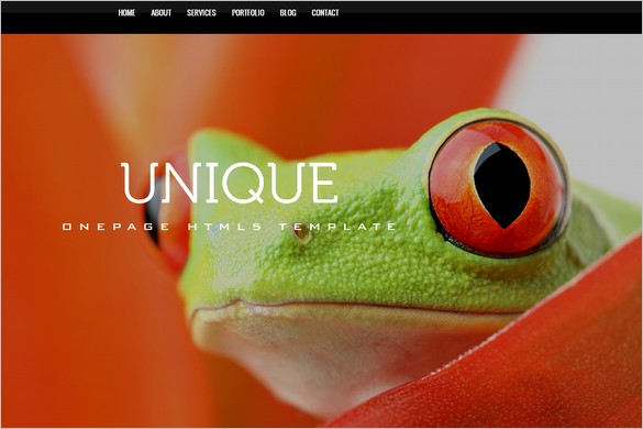  One Page WordPress Themes - Unique