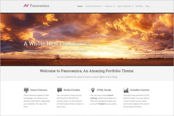 Professional WordPress Themes - Panoramica