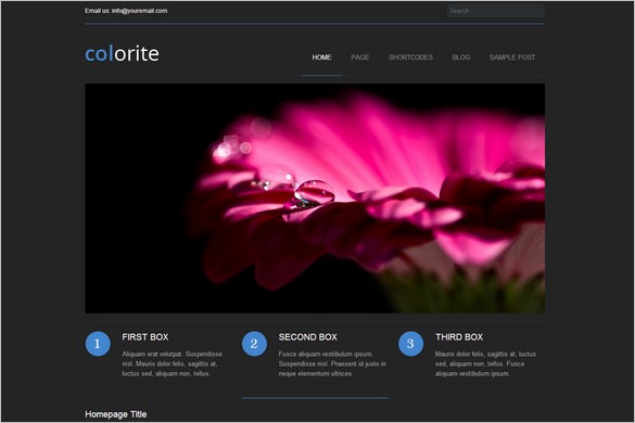  Free WordPress Premium Themes - Colorite