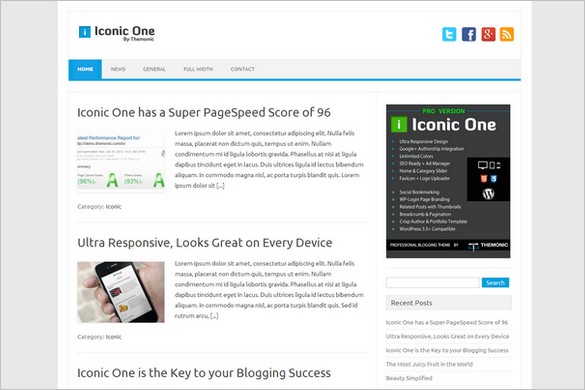 Free Outstanding WordPress Themes - Iconic One