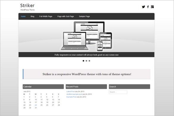 Free Outstanding WordPress Themes - Striker