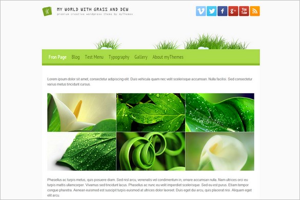 Brand New Free WordPress Themes - My World with Grass and Dew