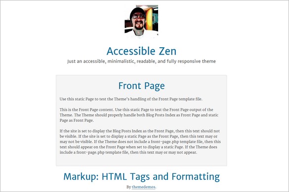 Dazzling Free WordPress Themes - Accessible Zen