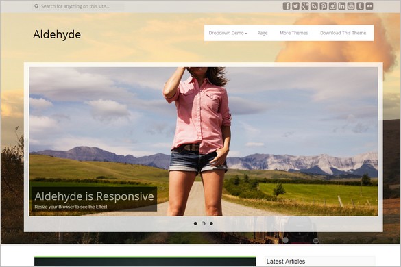 Dazzling Free WordPress Themes - Aldehyde