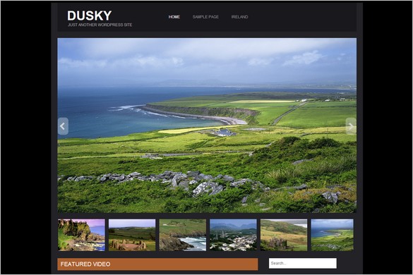 Dazzling Free WordPress Themes - Dusky