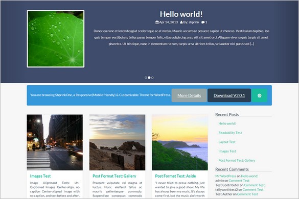 Dazzling Free WordPress Themes - Shprink One