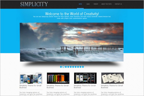 Simplicity Lite Free WordPress Theme