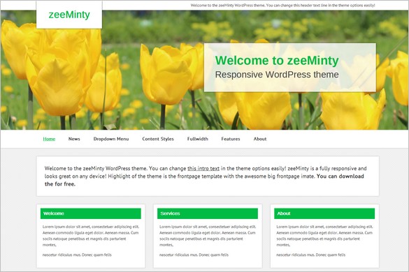 Dazzling Free WordPress Themes - zeeMinty