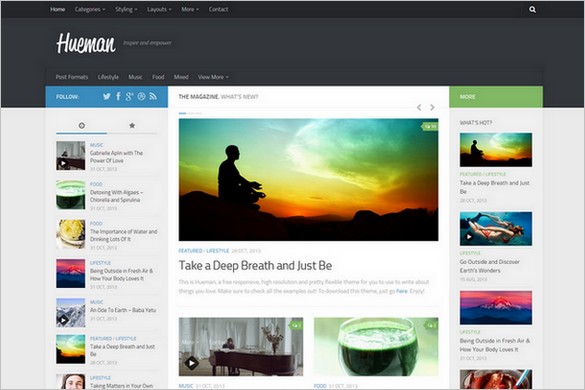 Hueman - A Free High Resolution Magazine WordPress Theme