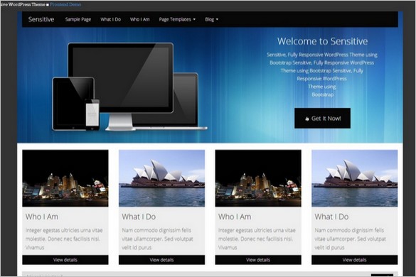 Sensitive WordPress Theme Absolute Best Free WordPress Themes