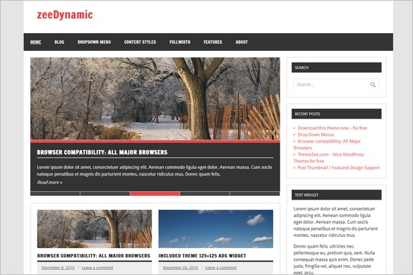 Best Magazine WordPress Themes - zeeDynamic