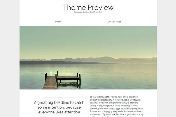 WordPress Themes with Elegant Minimalist Design 