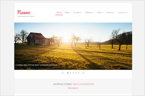 WordPress Themes with Elegant Minimalist Design 