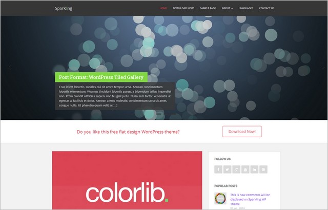 Sparkling - A Free Modern WordPress Theme from colorlib