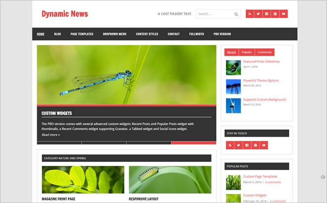 Dynamic News WordPress Theme 5 New WordPress Themes for Magazine & News Websites
