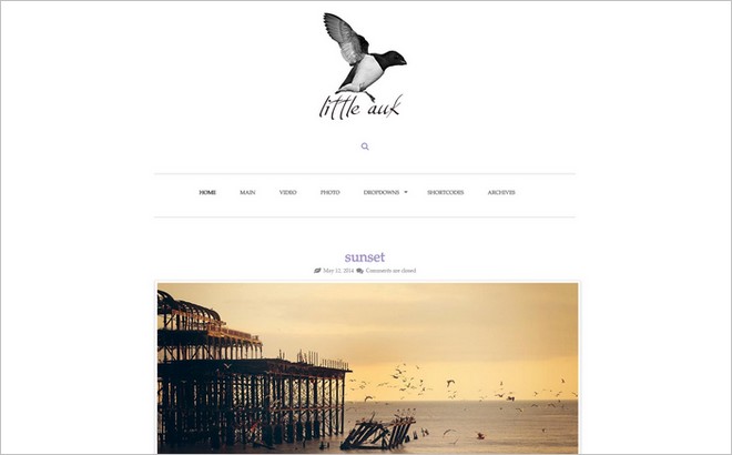 50 Best WordPress Themes From 2014